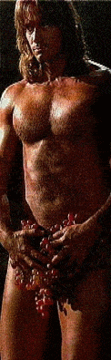 carengrapes.gif (41858 octets)